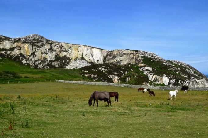 Horses and quarries
