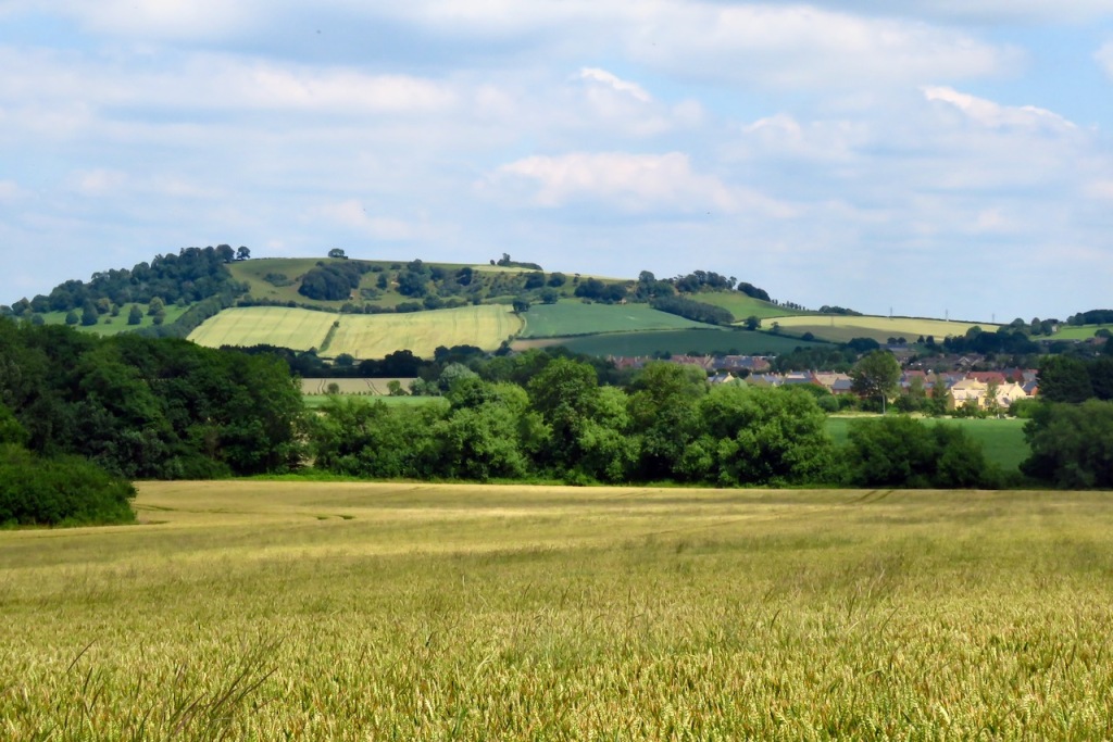 Meon Hill